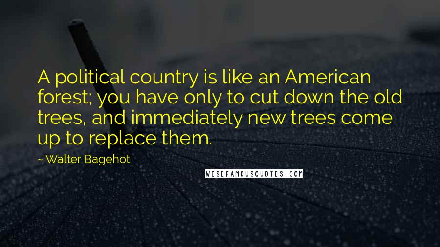 Walter Bagehot Quotes: A political country is like an American forest; you have only to cut down the old trees, and immediately new trees come up to replace them.