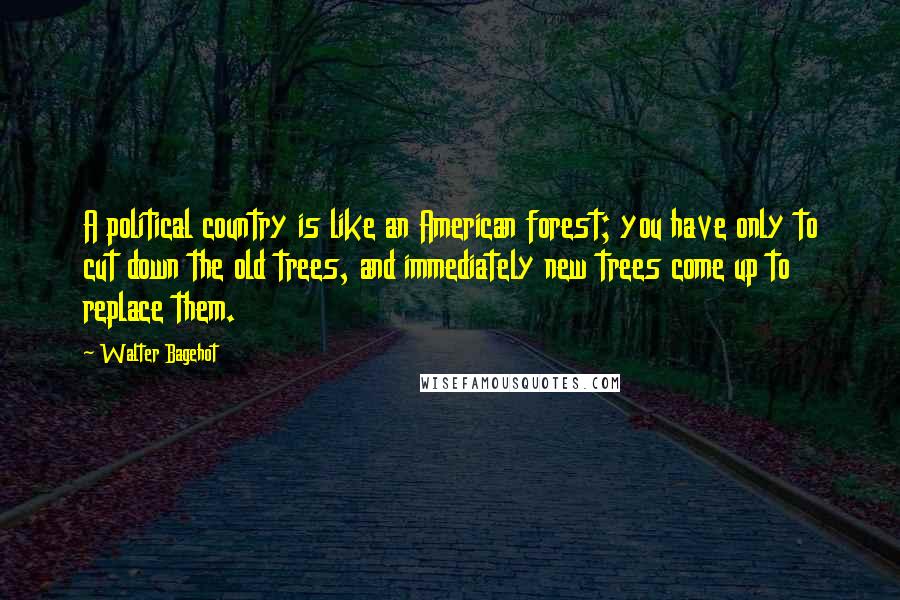 Walter Bagehot Quotes: A political country is like an American forest; you have only to cut down the old trees, and immediately new trees come up to replace them.