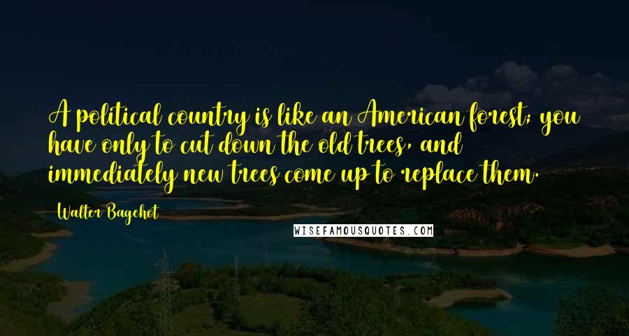 Walter Bagehot Quotes: A political country is like an American forest; you have only to cut down the old trees, and immediately new trees come up to replace them.