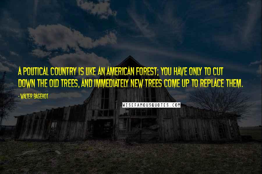Walter Bagehot Quotes: A political country is like an American forest; you have only to cut down the old trees, and immediately new trees come up to replace them.
