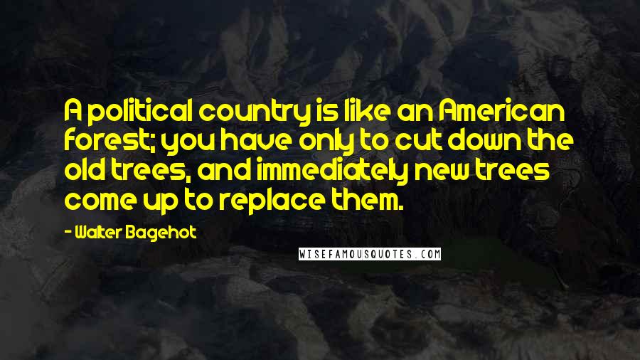 Walter Bagehot Quotes: A political country is like an American forest; you have only to cut down the old trees, and immediately new trees come up to replace them.
