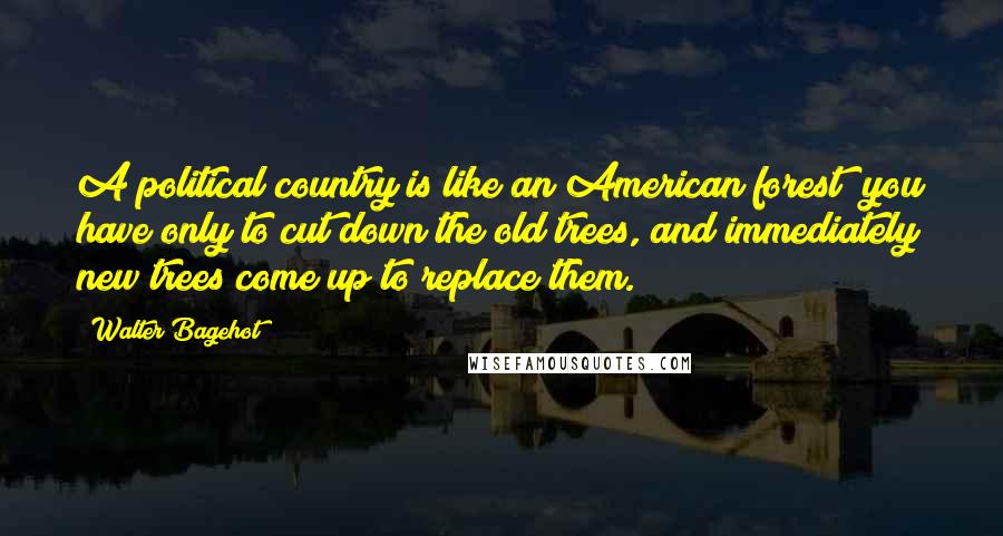 Walter Bagehot Quotes: A political country is like an American forest; you have only to cut down the old trees, and immediately new trees come up to replace them.
