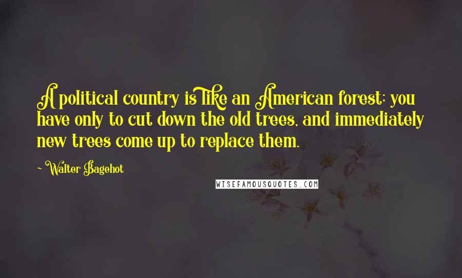 Walter Bagehot Quotes: A political country is like an American forest; you have only to cut down the old trees, and immediately new trees come up to replace them.