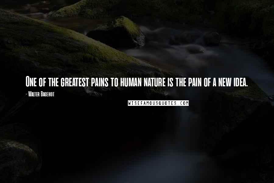 Walter Bagehot Quotes: One of the greatest pains to human nature is the pain of a new idea.