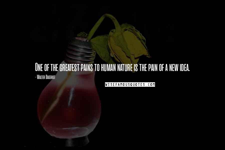 Walter Bagehot Quotes: One of the greatest pains to human nature is the pain of a new idea.