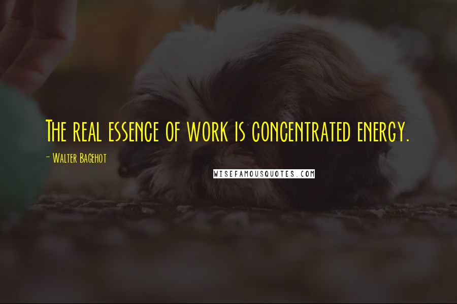 Walter Bagehot Quotes: The real essence of work is concentrated energy.