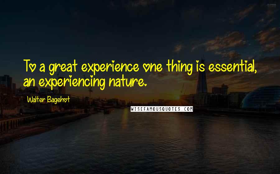 Walter Bagehot Quotes: To a great experience one thing is essential, an experiencing nature.