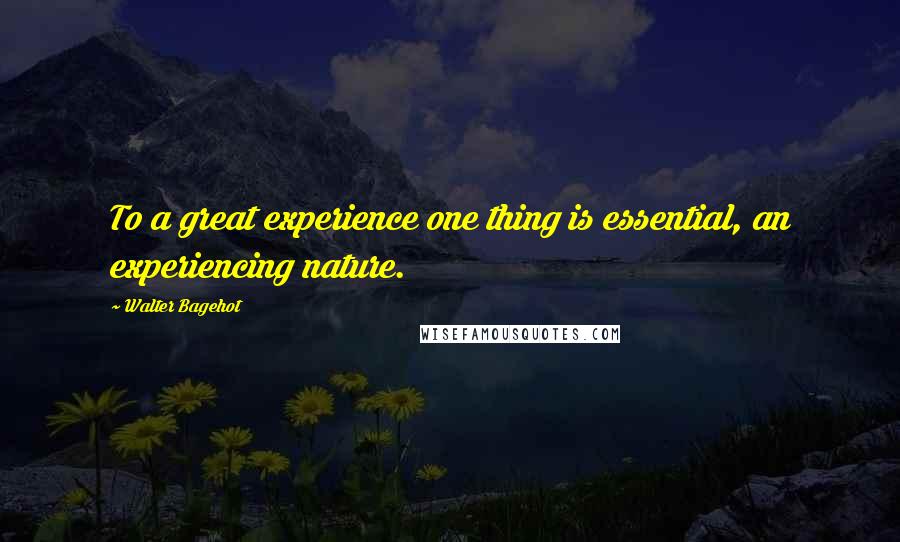 Walter Bagehot Quotes: To a great experience one thing is essential, an experiencing nature.