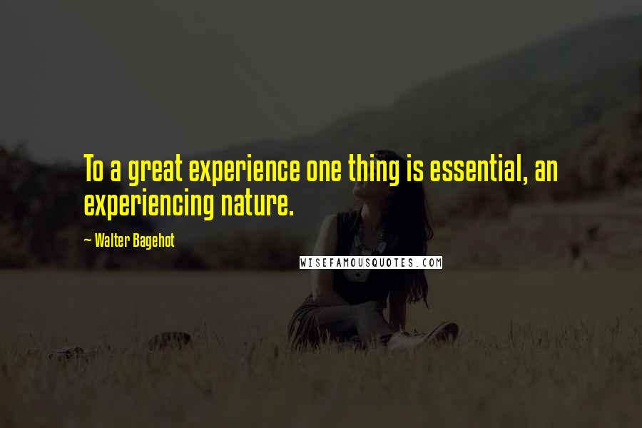 Walter Bagehot Quotes: To a great experience one thing is essential, an experiencing nature.