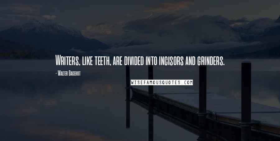 Walter Bagehot Quotes: Writers, like teeth, are divided into incisors and grinders.