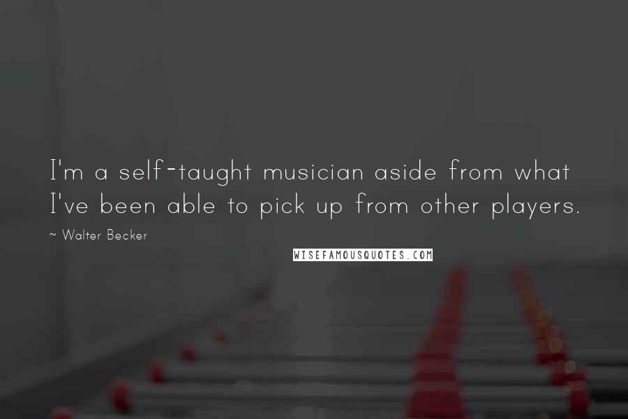 Walter Becker Quotes: I'm a self-taught musician aside from what I've been able to pick up from other players.
