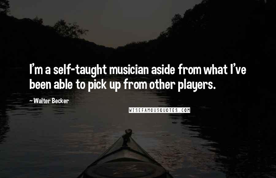 Walter Becker Quotes: I'm a self-taught musician aside from what I've been able to pick up from other players.