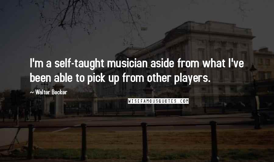 Walter Becker Quotes: I'm a self-taught musician aside from what I've been able to pick up from other players.