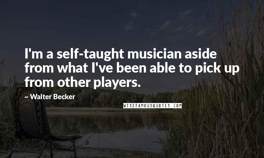 Walter Becker Quotes: I'm a self-taught musician aside from what I've been able to pick up from other players.