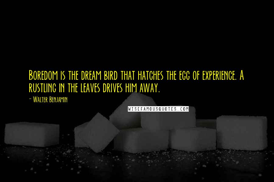 Walter Benjamin Quotes: Boredom is the dream bird that hatches the egg of experience. A rustling in the leaves drives him away.