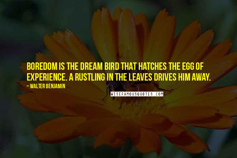 Walter Benjamin Quotes: Boredom is the dream bird that hatches the egg of experience. A rustling in the leaves drives him away.