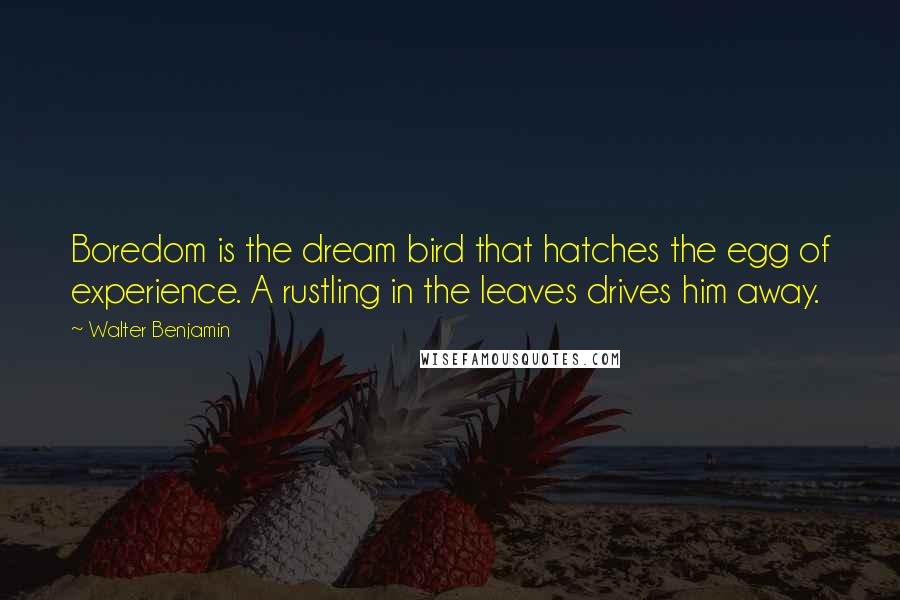 Walter Benjamin Quotes: Boredom is the dream bird that hatches the egg of experience. A rustling in the leaves drives him away.
