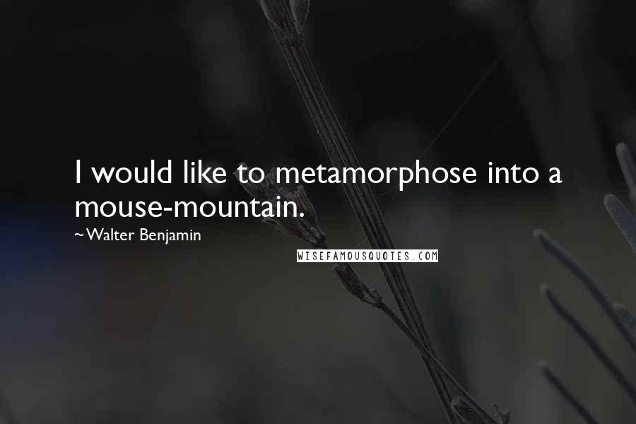 Walter Benjamin Quotes: I would like to metamorphose into a mouse-mountain.