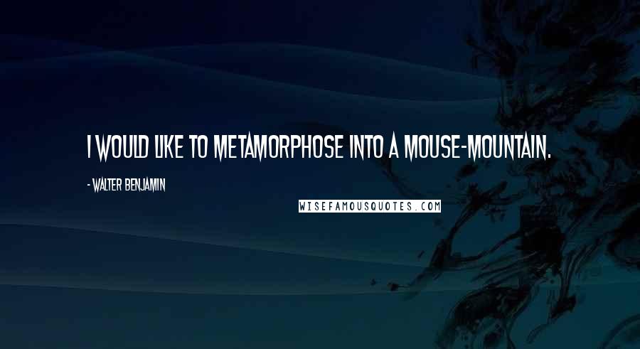 Walter Benjamin Quotes: I would like to metamorphose into a mouse-mountain.