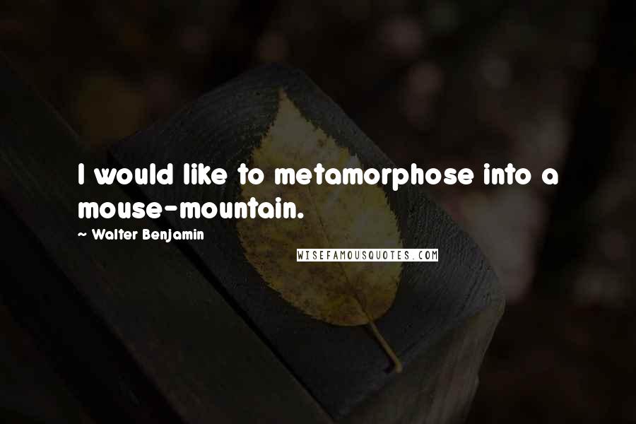 Walter Benjamin Quotes: I would like to metamorphose into a mouse-mountain.