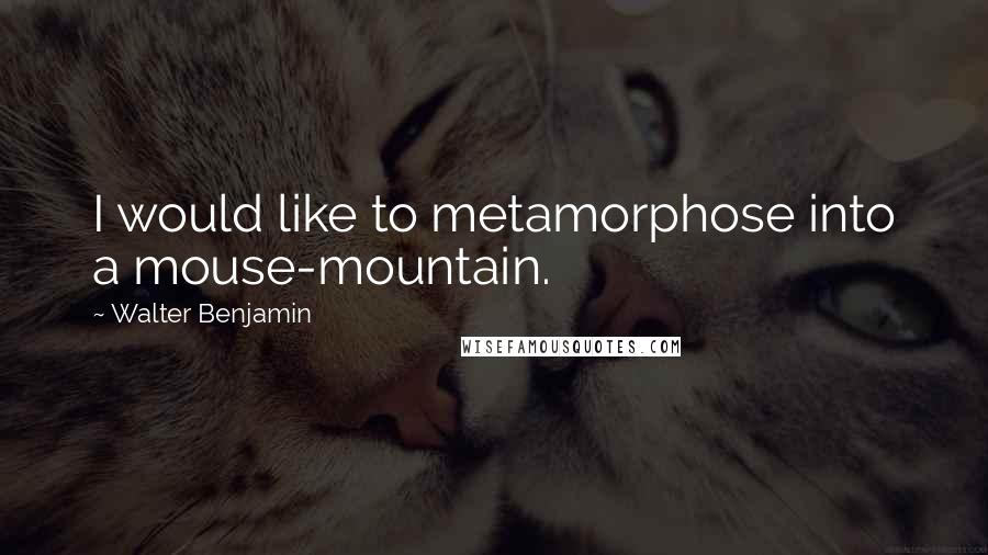 Walter Benjamin Quotes: I would like to metamorphose into a mouse-mountain.