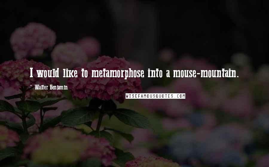 Walter Benjamin Quotes: I would like to metamorphose into a mouse-mountain.