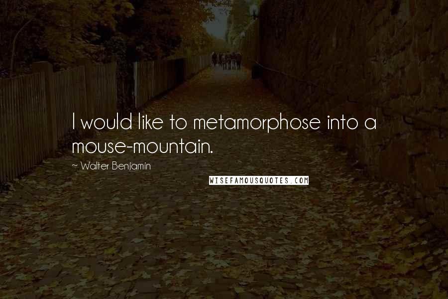 Walter Benjamin Quotes: I would like to metamorphose into a mouse-mountain.