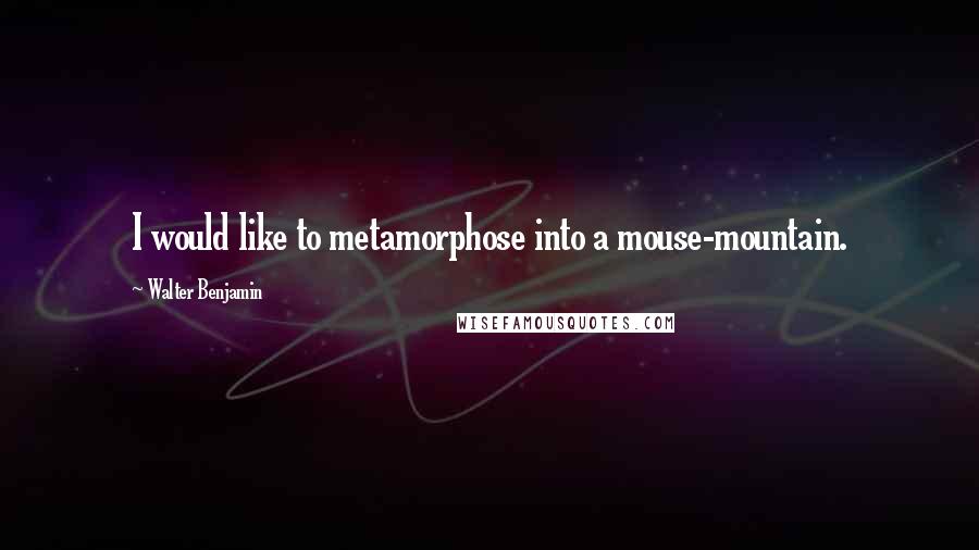 Walter Benjamin Quotes: I would like to metamorphose into a mouse-mountain.