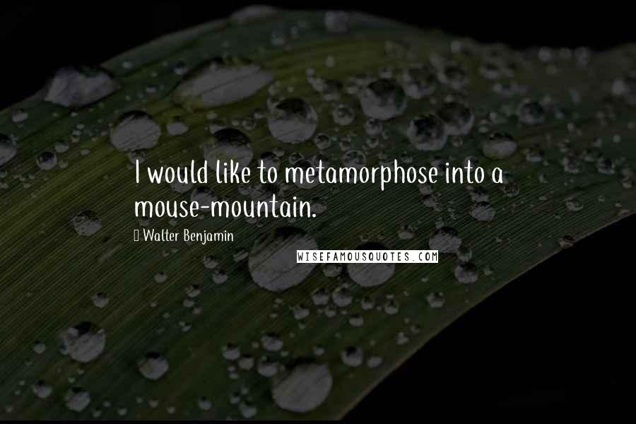 Walter Benjamin Quotes: I would like to metamorphose into a mouse-mountain.