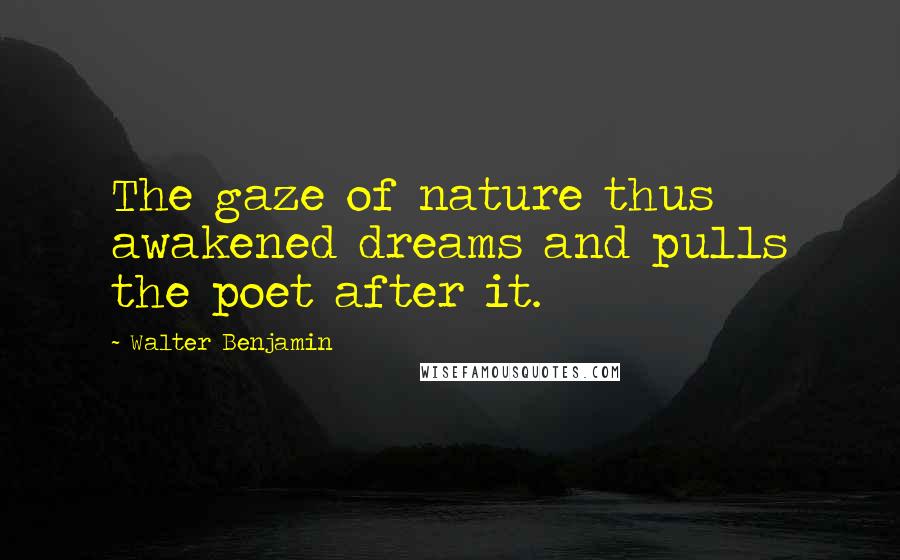 Walter Benjamin Quotes: The gaze of nature thus awakened dreams and pulls the poet after it.