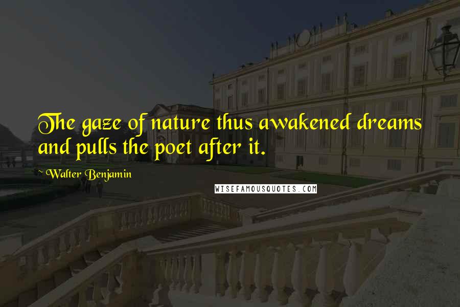 Walter Benjamin Quotes: The gaze of nature thus awakened dreams and pulls the poet after it.