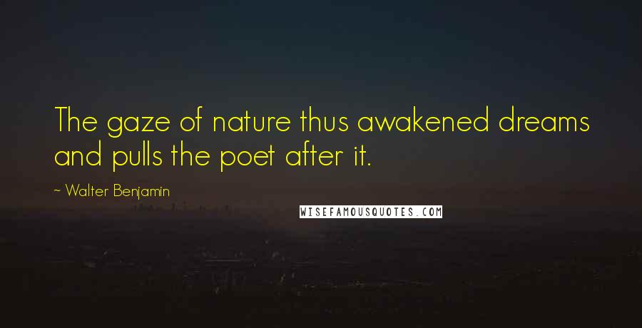 Walter Benjamin Quotes: The gaze of nature thus awakened dreams and pulls the poet after it.