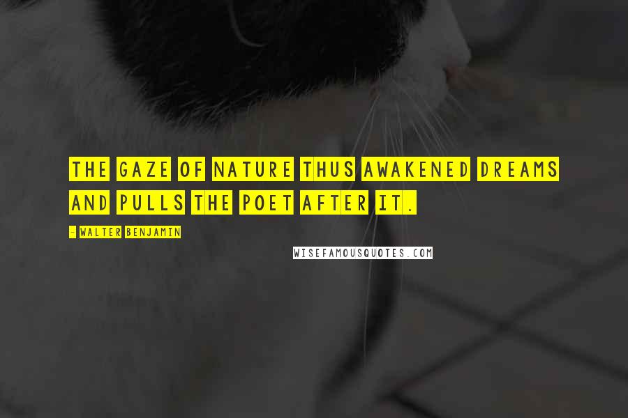 Walter Benjamin Quotes: The gaze of nature thus awakened dreams and pulls the poet after it.