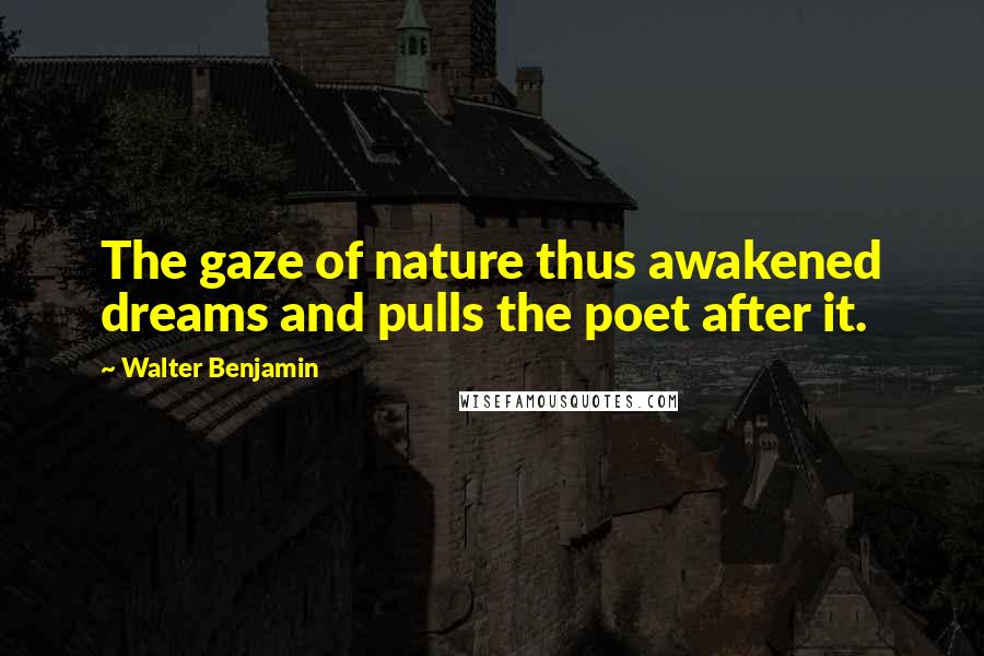 Walter Benjamin Quotes: The gaze of nature thus awakened dreams and pulls the poet after it.