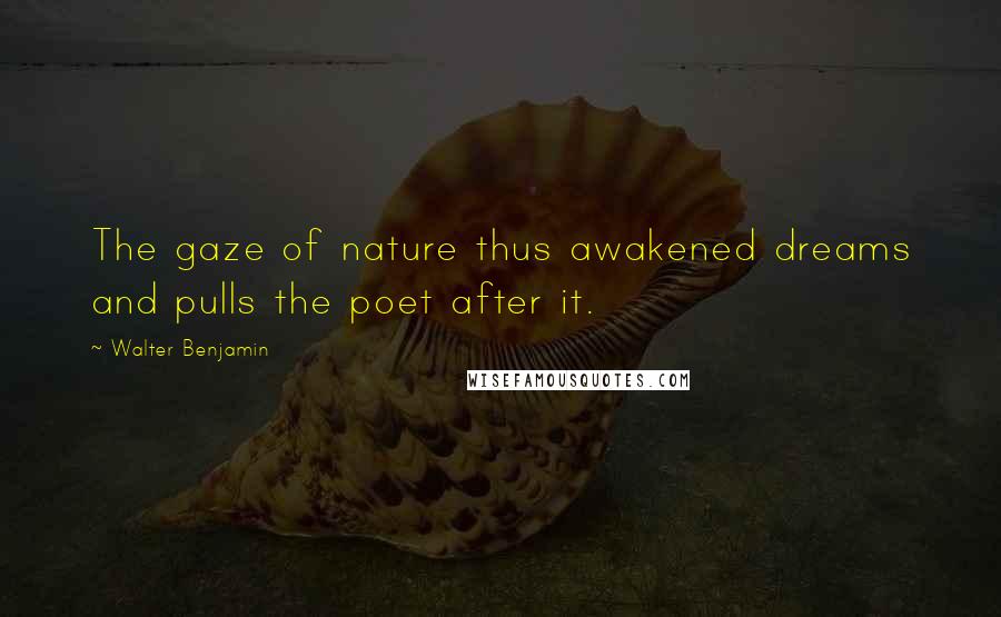 Walter Benjamin Quotes: The gaze of nature thus awakened dreams and pulls the poet after it.