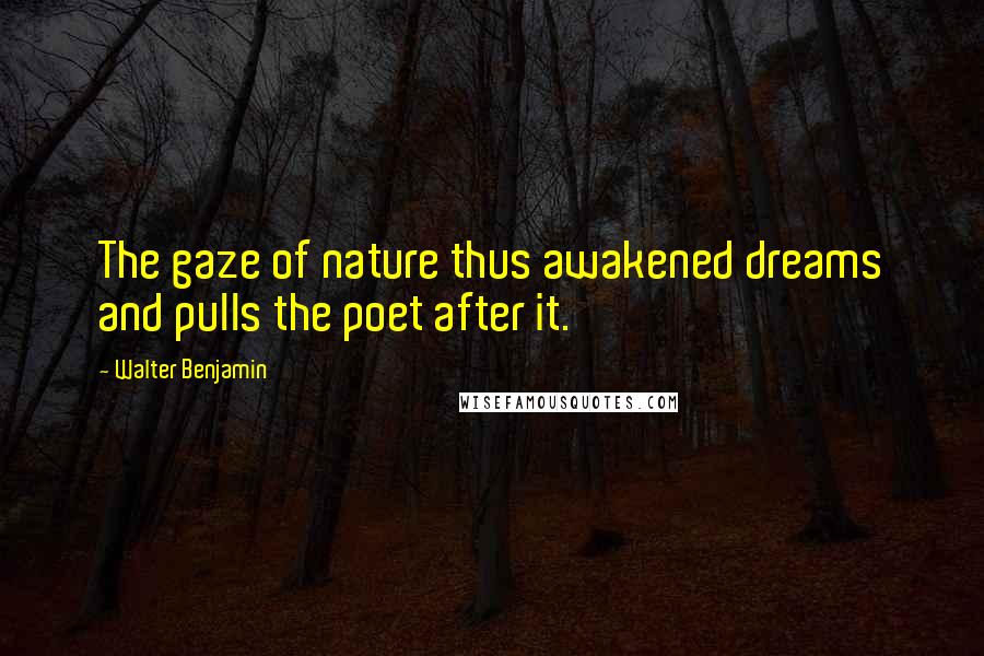 Walter Benjamin Quotes: The gaze of nature thus awakened dreams and pulls the poet after it.