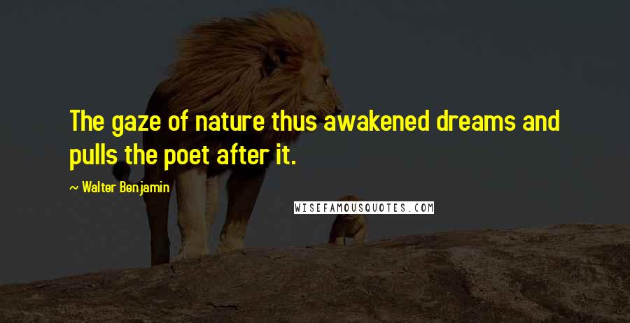 Walter Benjamin Quotes: The gaze of nature thus awakened dreams and pulls the poet after it.