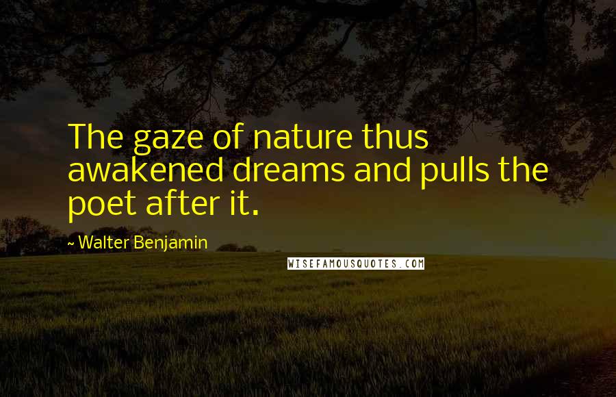 Walter Benjamin Quotes: The gaze of nature thus awakened dreams and pulls the poet after it.