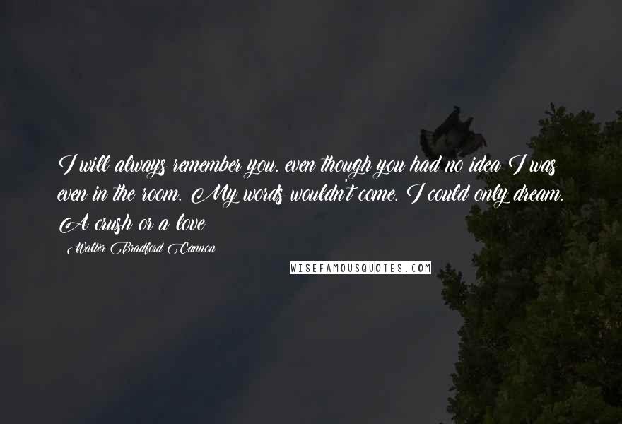 Walter Bradford Cannon Quotes: I will always remember you, even though you had no idea I was even in the room. My words wouldn't come, I could only dream. A crush or a love?