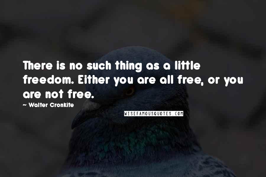 Walter Cronkite Quotes: There is no such thing as a little freedom. Either you are all free, or you are not free.