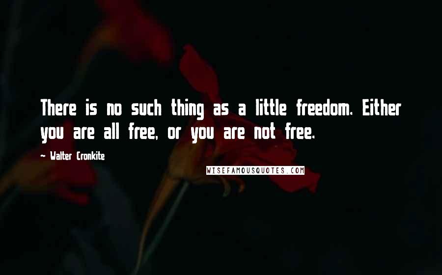 Walter Cronkite Quotes: There is no such thing as a little freedom. Either you are all free, or you are not free.