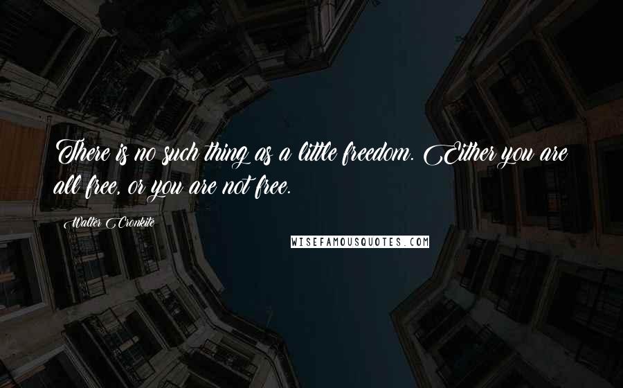 Walter Cronkite Quotes: There is no such thing as a little freedom. Either you are all free, or you are not free.