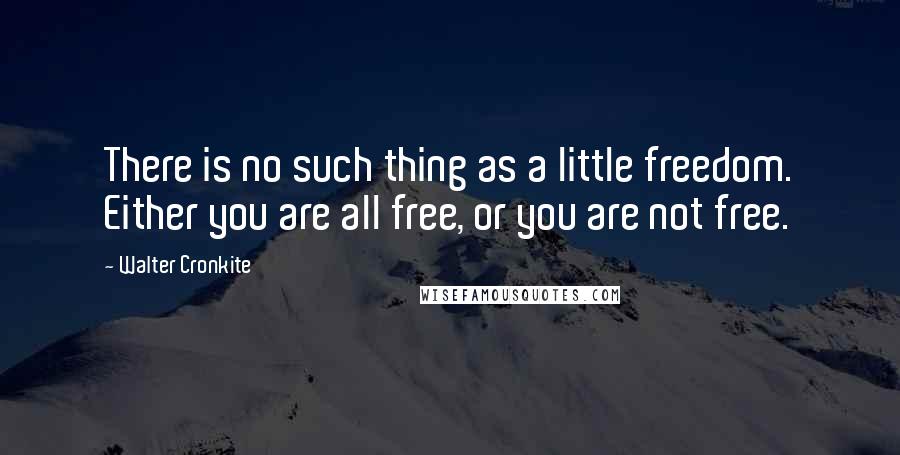 Walter Cronkite Quotes: There is no such thing as a little freedom. Either you are all free, or you are not free.