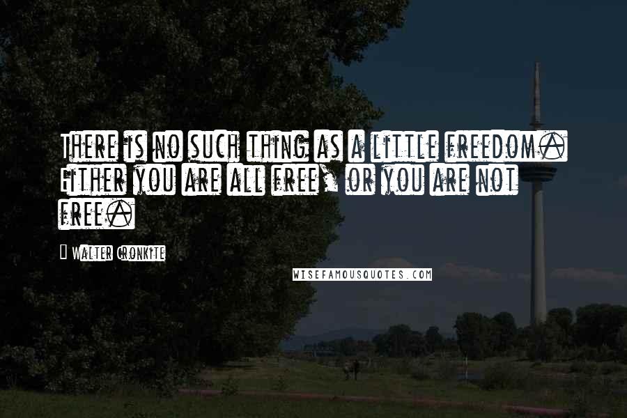 Walter Cronkite Quotes: There is no such thing as a little freedom. Either you are all free, or you are not free.