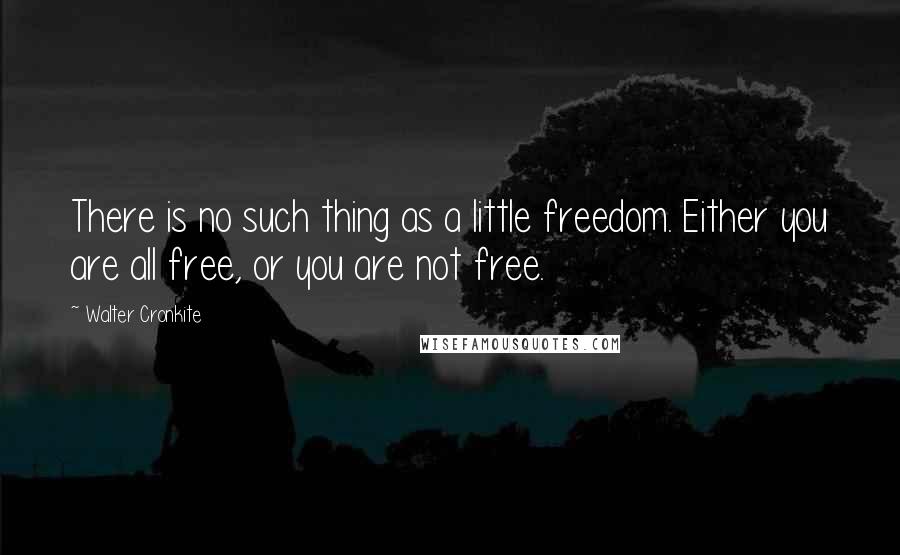 Walter Cronkite Quotes: There is no such thing as a little freedom. Either you are all free, or you are not free.