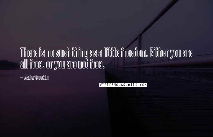 Walter Cronkite Quotes: There is no such thing as a little freedom. Either you are all free, or you are not free.