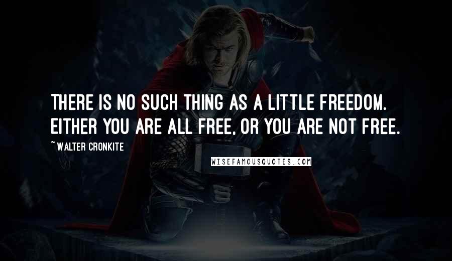 Walter Cronkite Quotes: There is no such thing as a little freedom. Either you are all free, or you are not free.