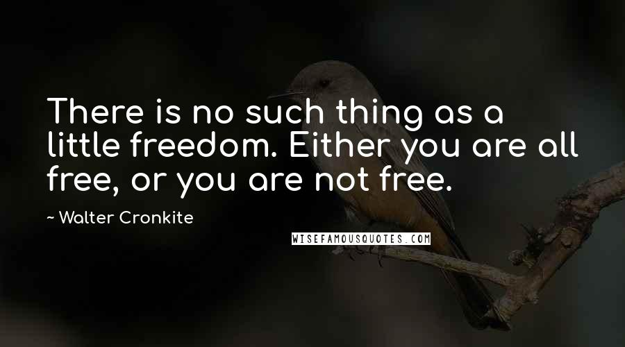 Walter Cronkite Quotes: There is no such thing as a little freedom. Either you are all free, or you are not free.