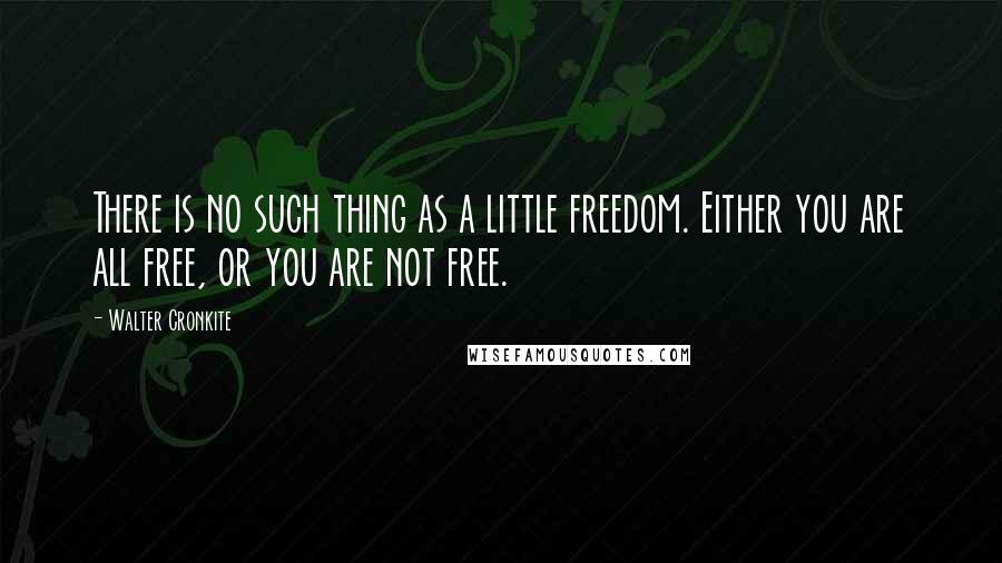 Walter Cronkite Quotes: There is no such thing as a little freedom. Either you are all free, or you are not free.