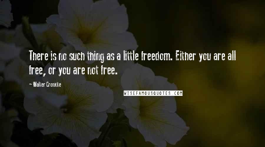 Walter Cronkite Quotes: There is no such thing as a little freedom. Either you are all free, or you are not free.